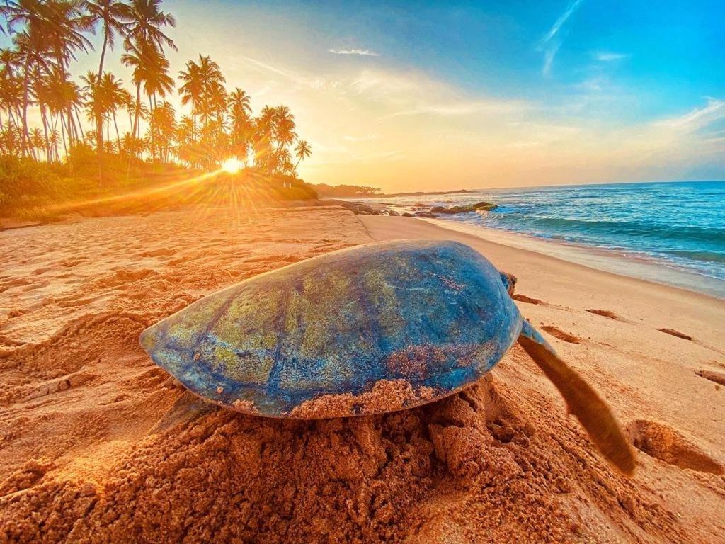 Ashansa Lagoon Resort Tangalle Dış mekan fotoğraf
