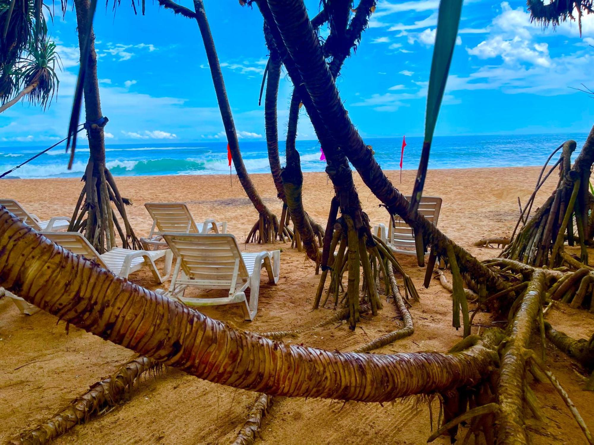 Ashansa Lagoon Resort Tangalle Dış mekan fotoğraf