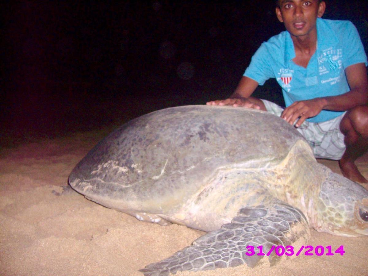 Ashansa Lagoon Resort Tangalle Dış mekan fotoğraf